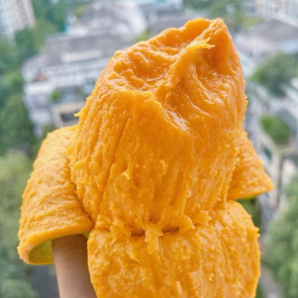 黑大帅大王