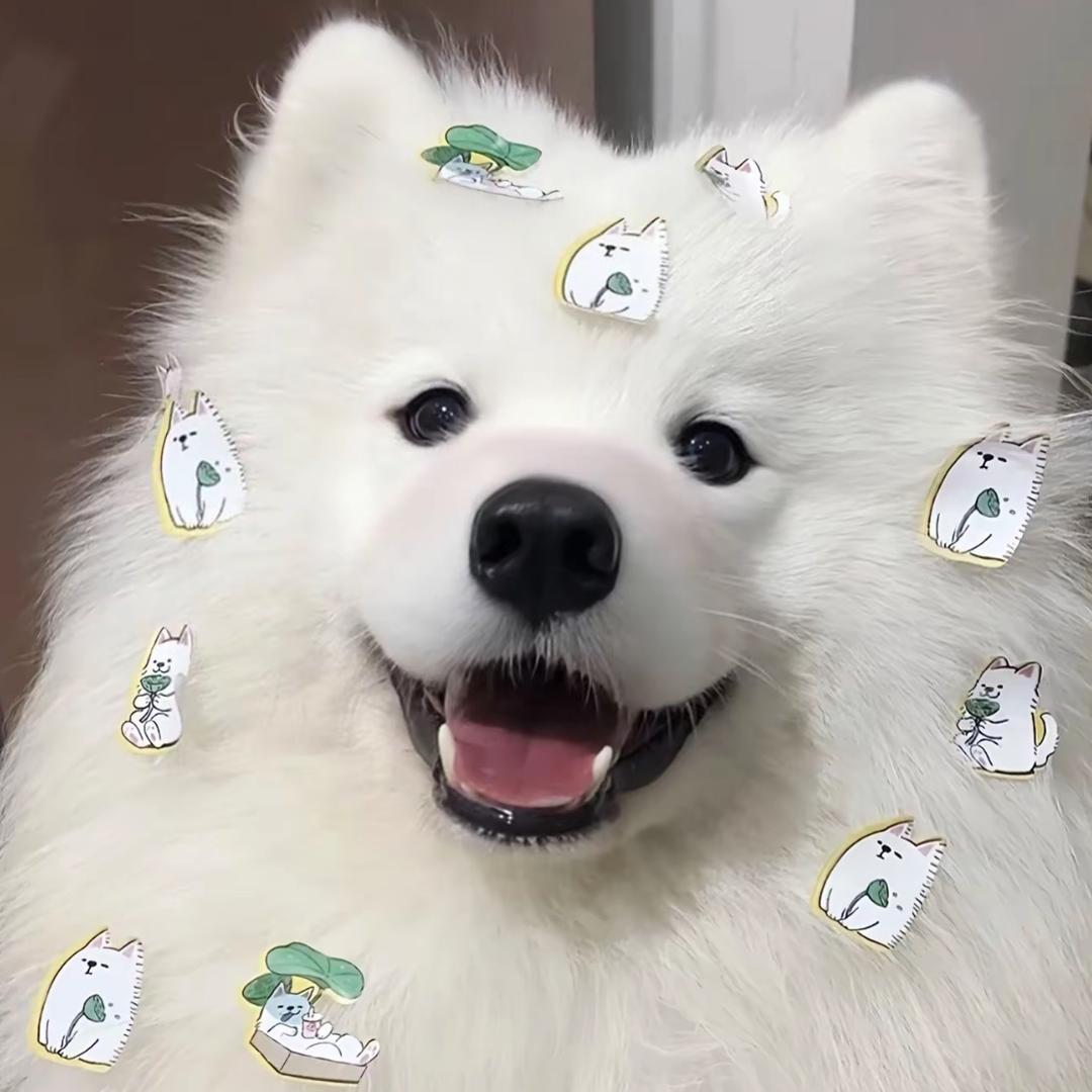 叫我小羊ing .