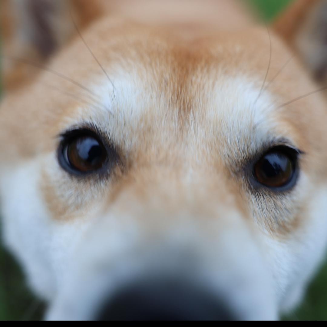 音