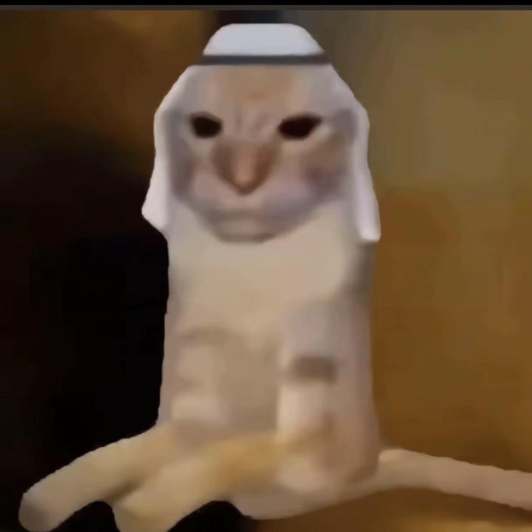 男人也可以这么美吗⁉️