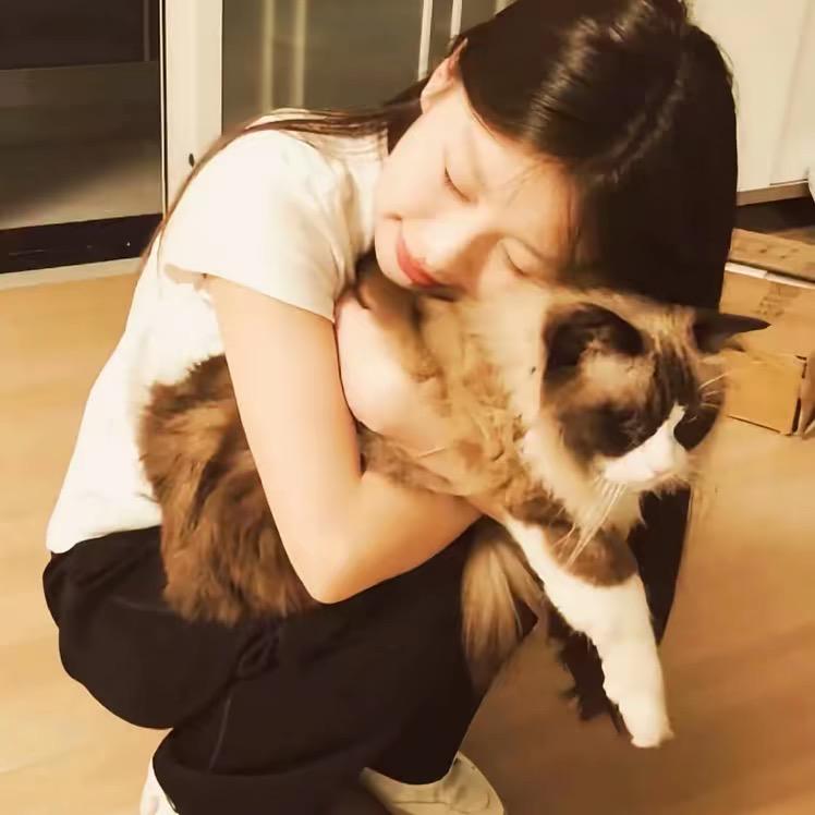 一只小小晗🖇️