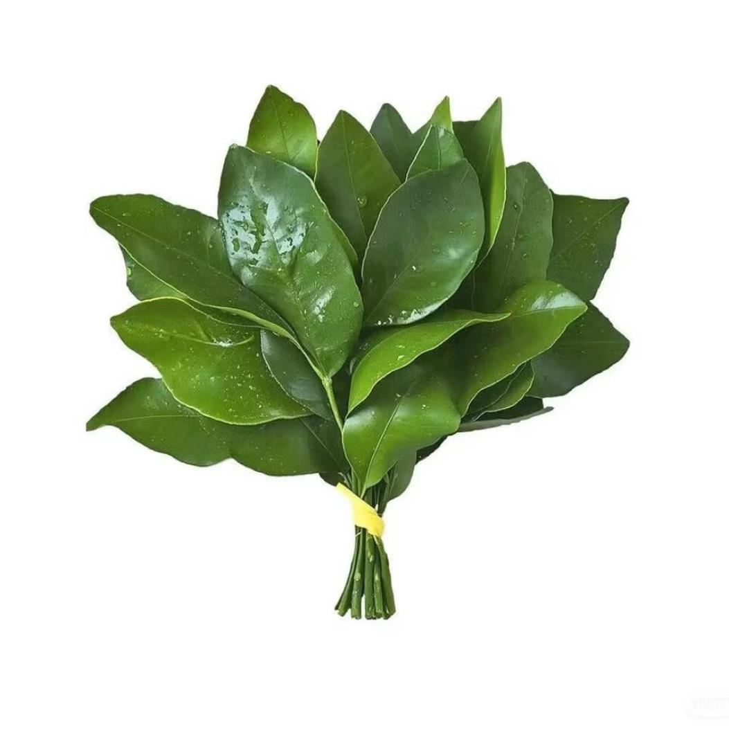 小满