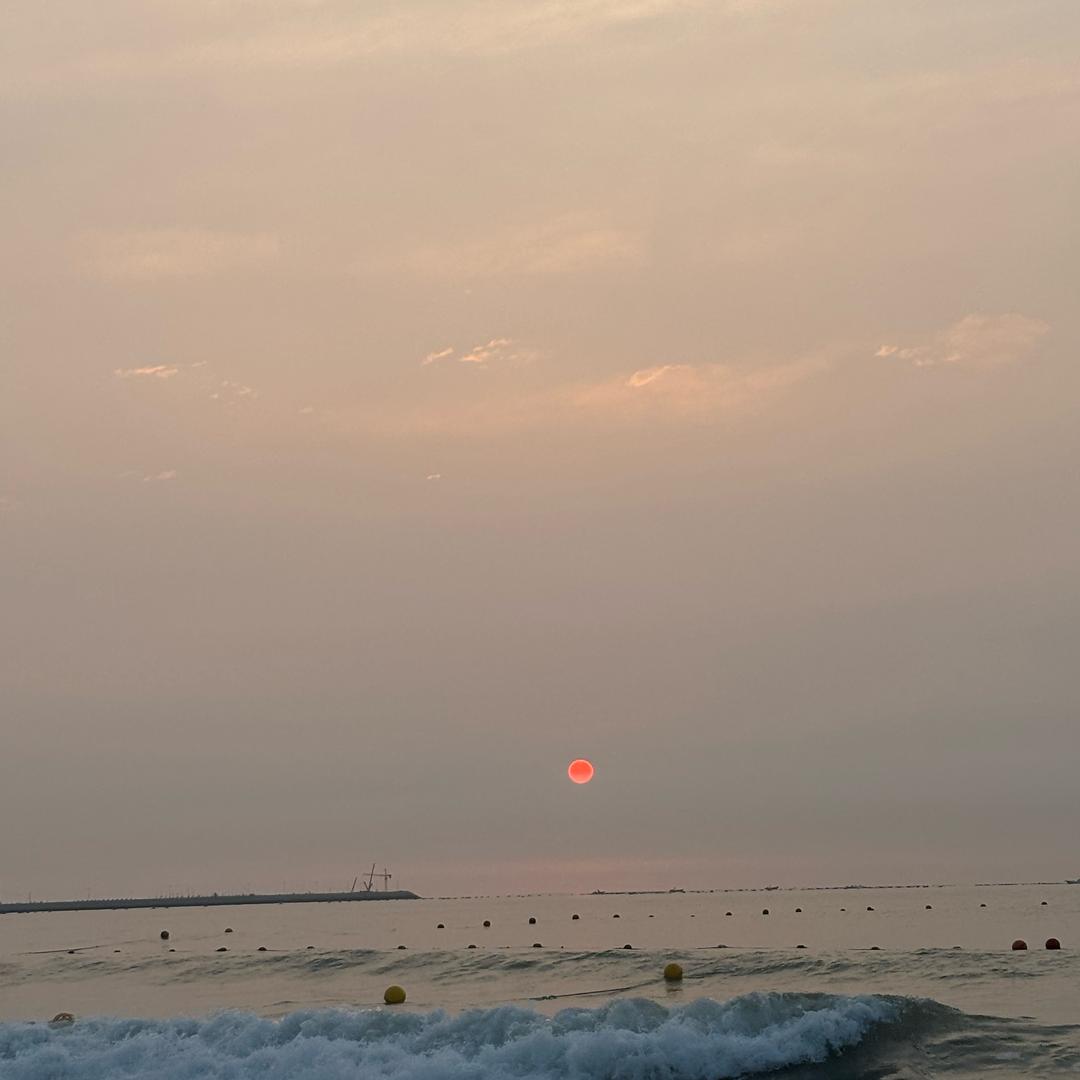 做跨境的美美姐