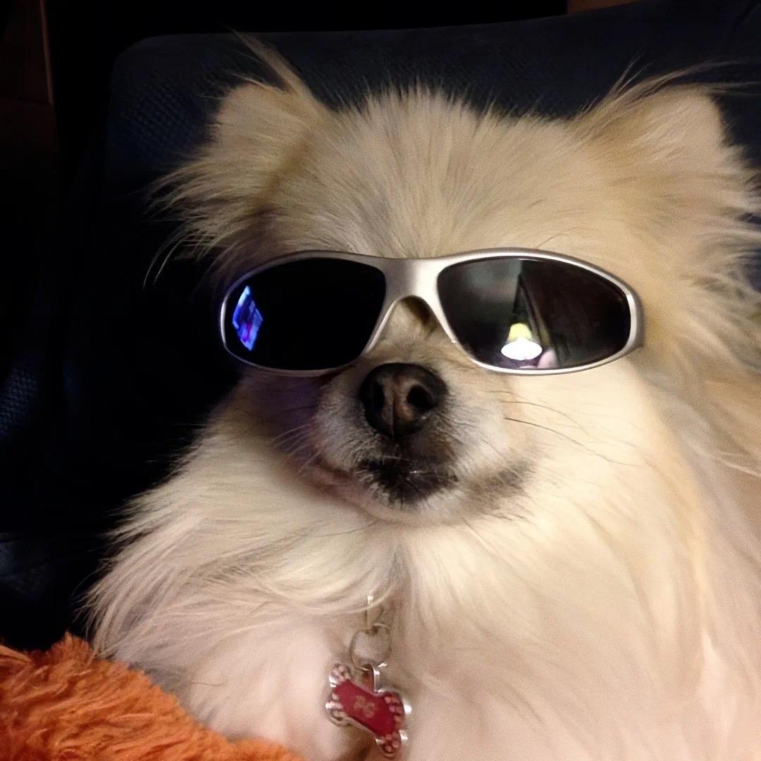 总会遇见心软的神