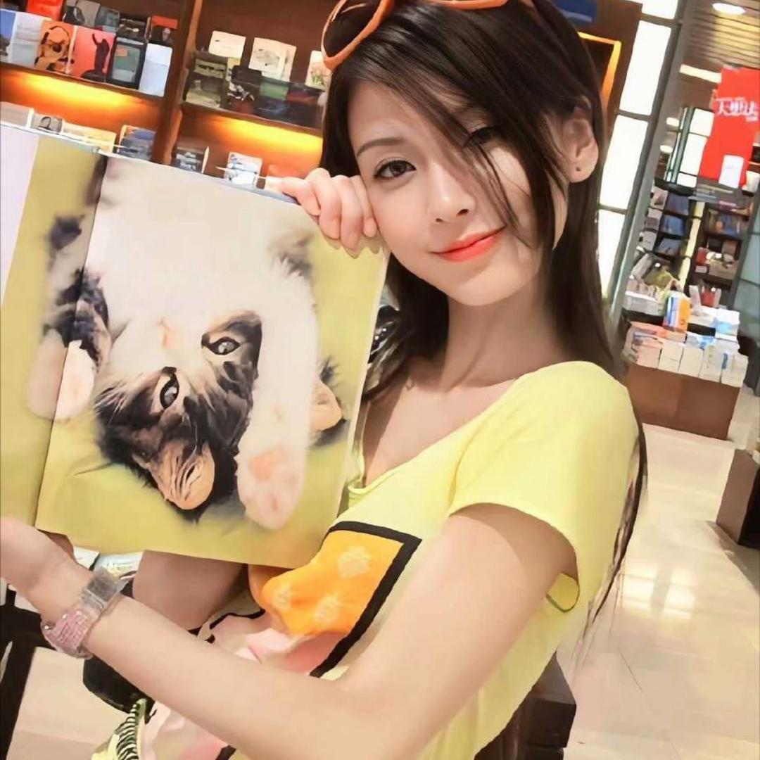 猪猪侠.