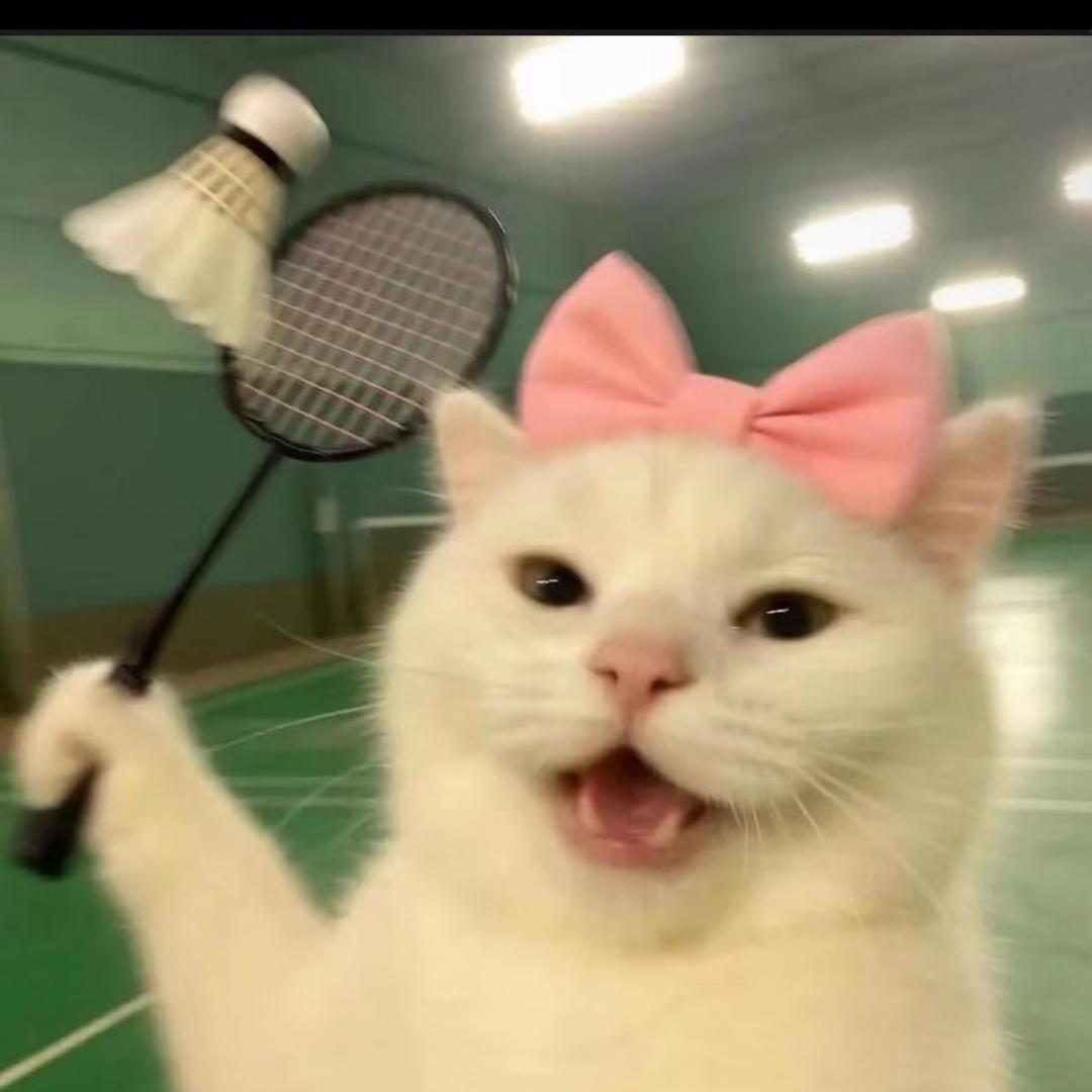 蓝桉已遇释槐鸟