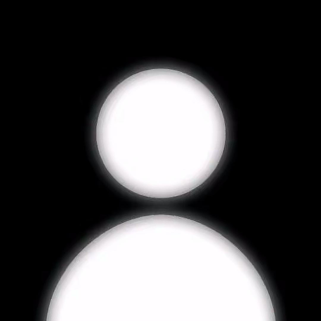 羊.