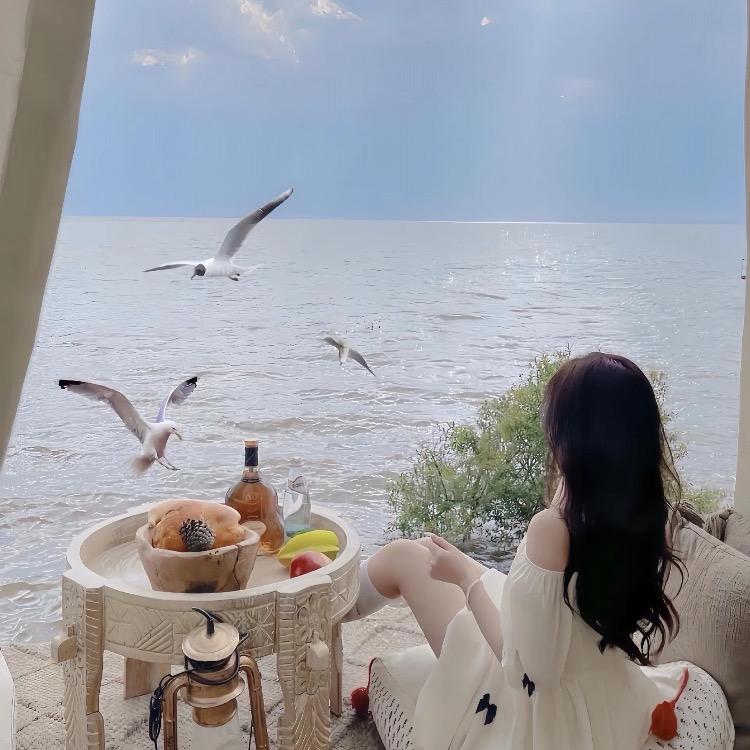 暘哥好物分享