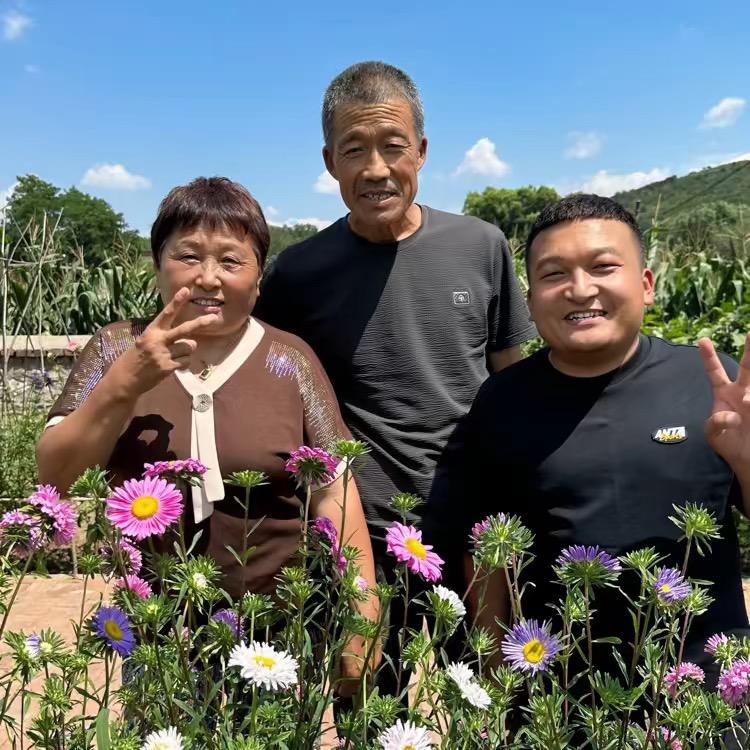 小苑1号黄瓜籽粉大活动