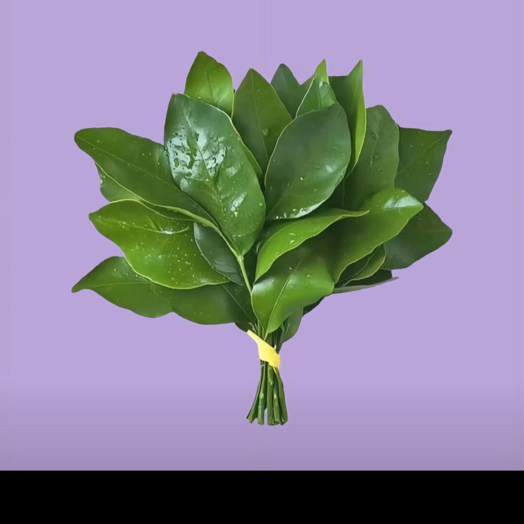 暖暖的你