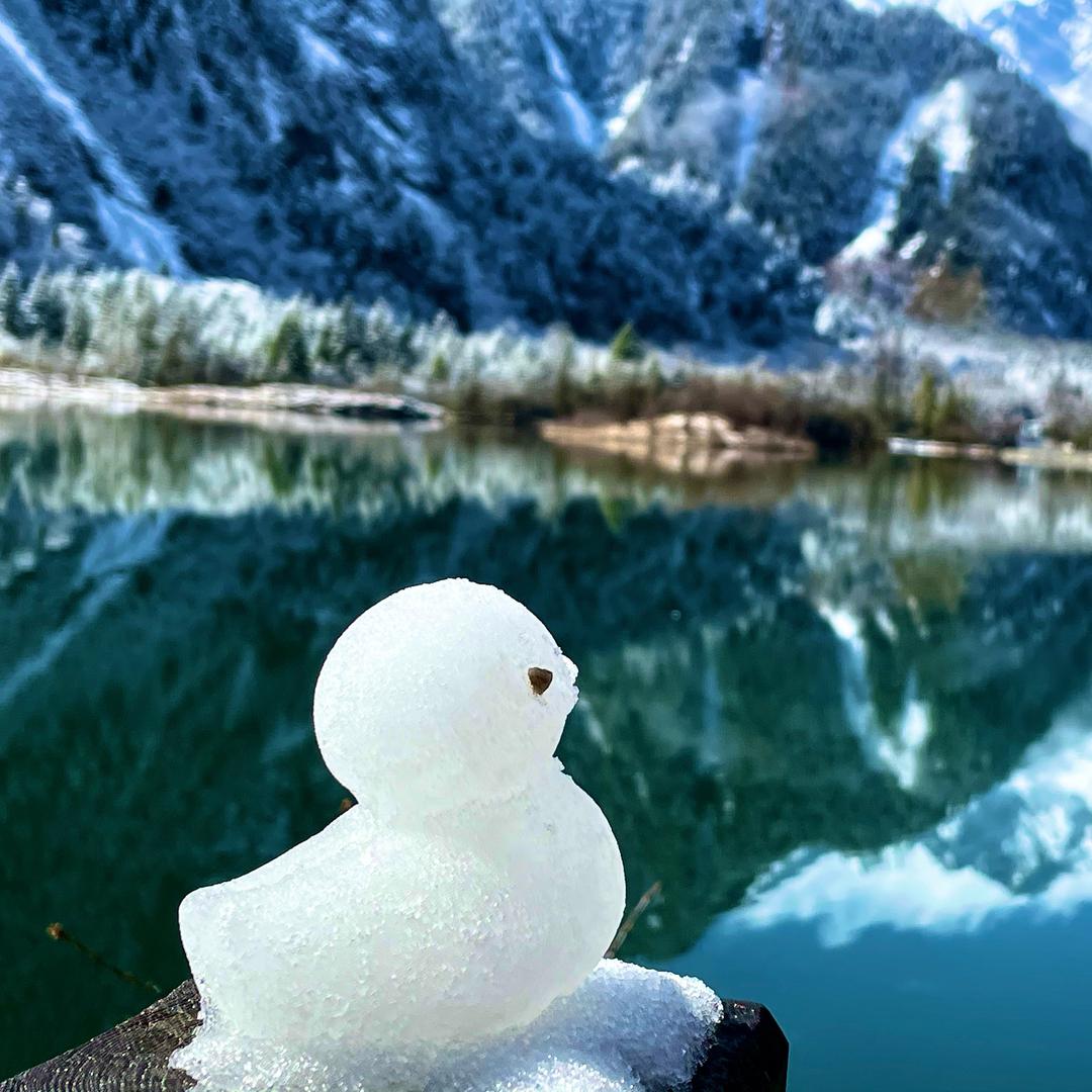 Sugar