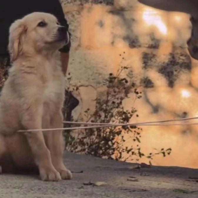 这里这里在这里