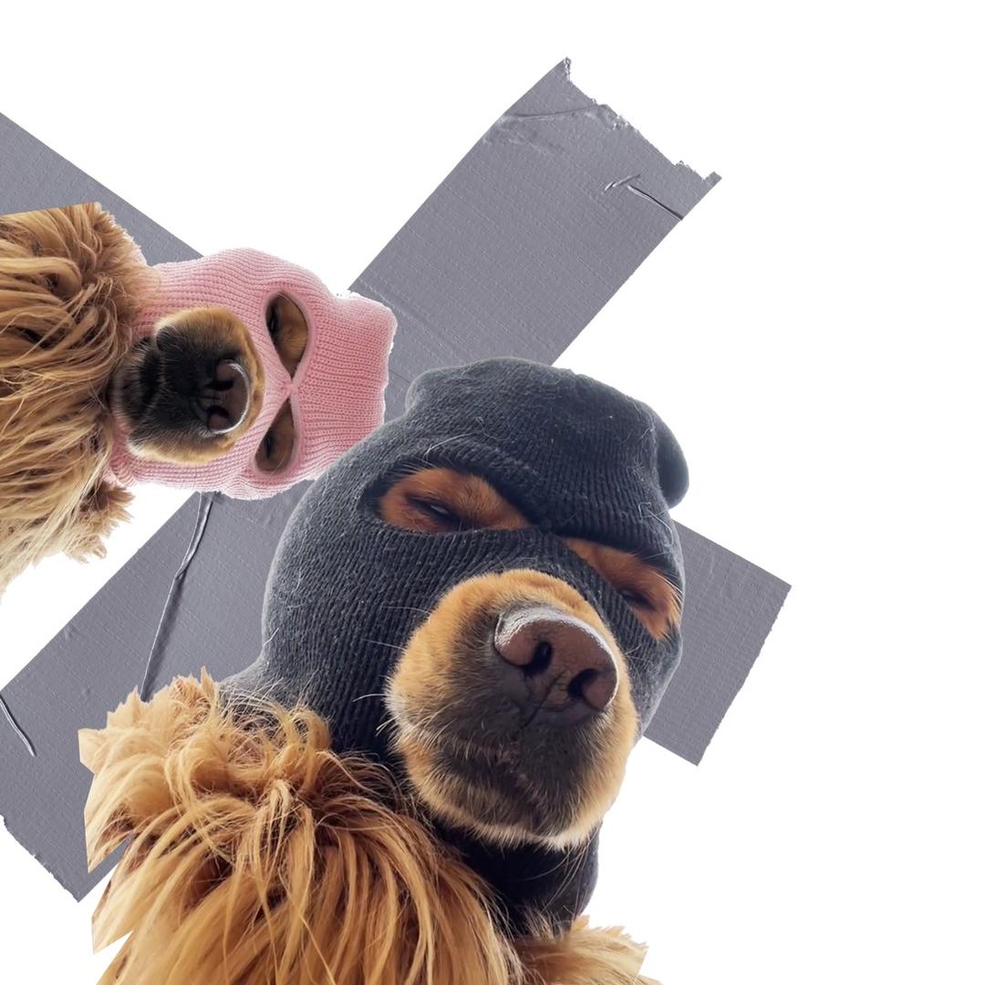 画画的江戈™