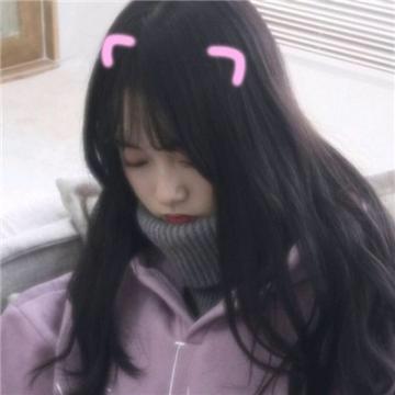 小小月季