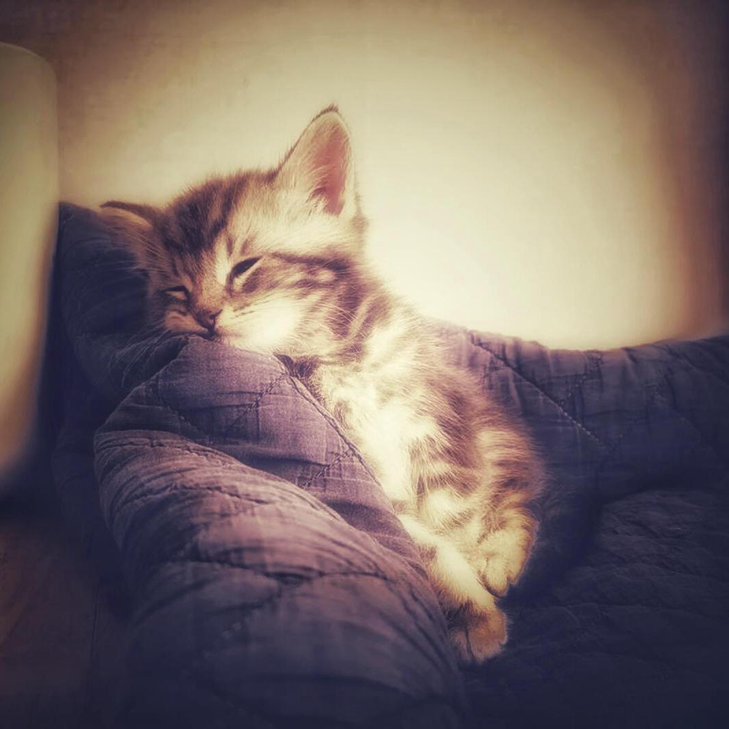 思念变成海ㅤㅤㅤㅤㅤ