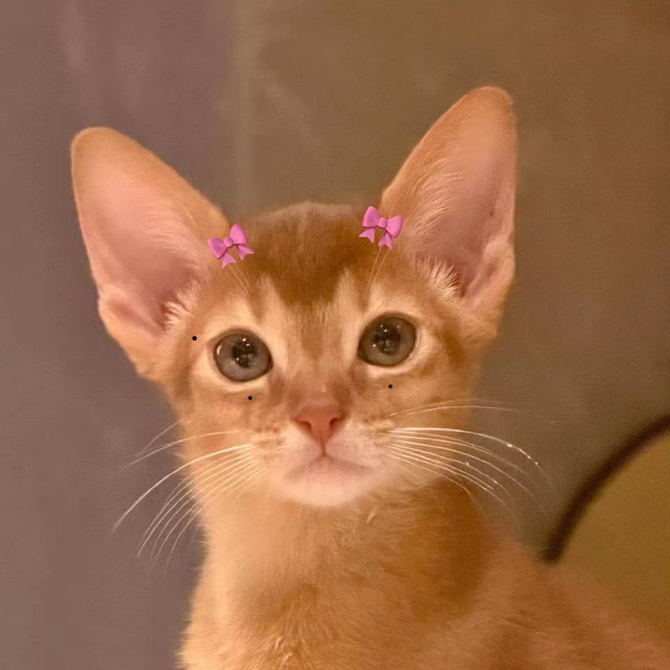 得闲就看莫得闲！