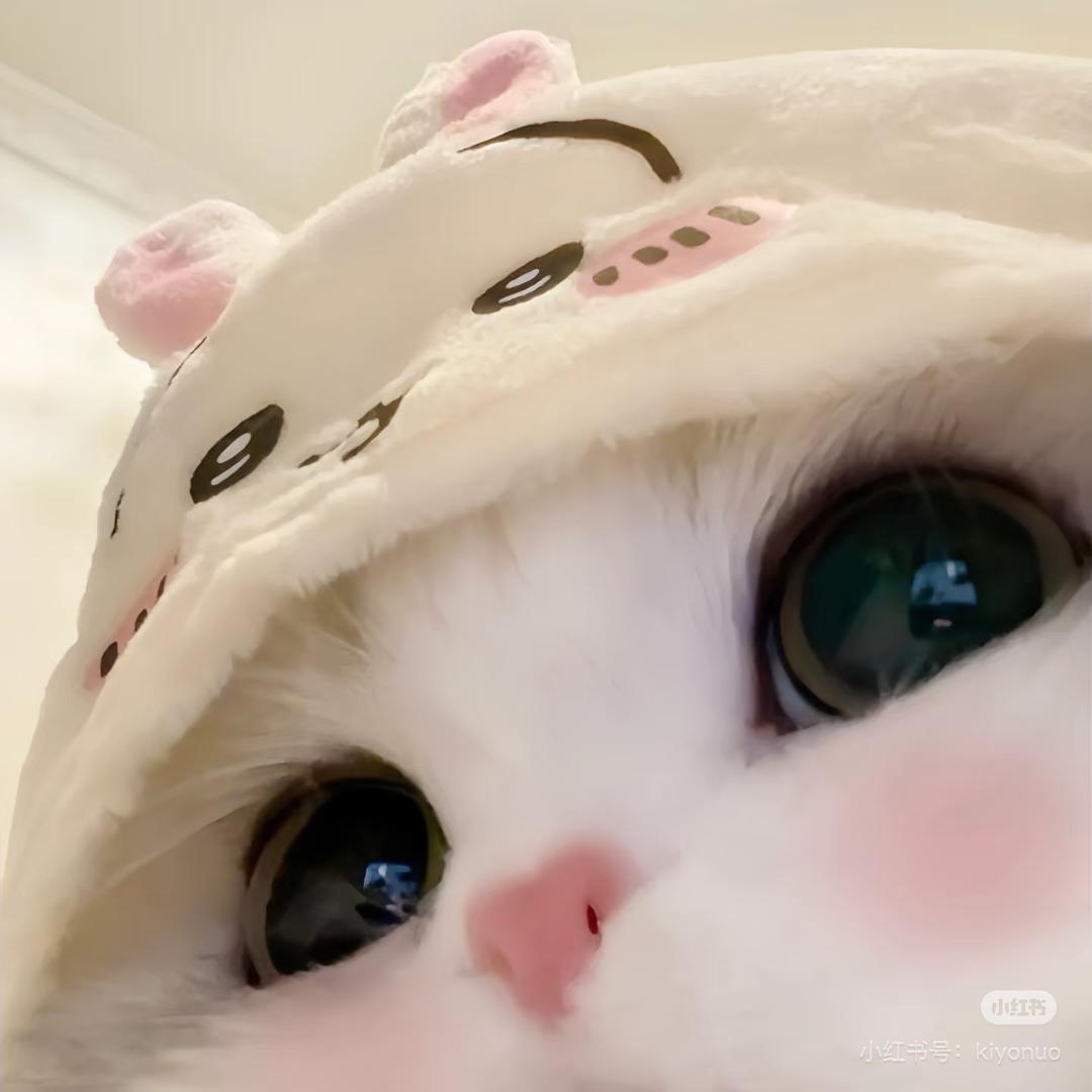 @Linᥫᦱ@