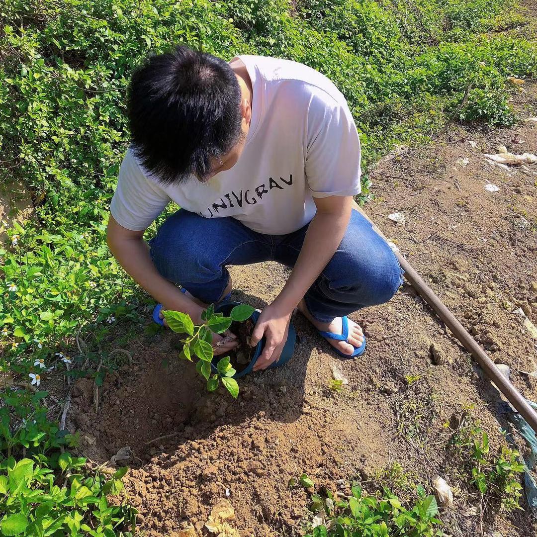 漳州卡亚塔三角梅基地