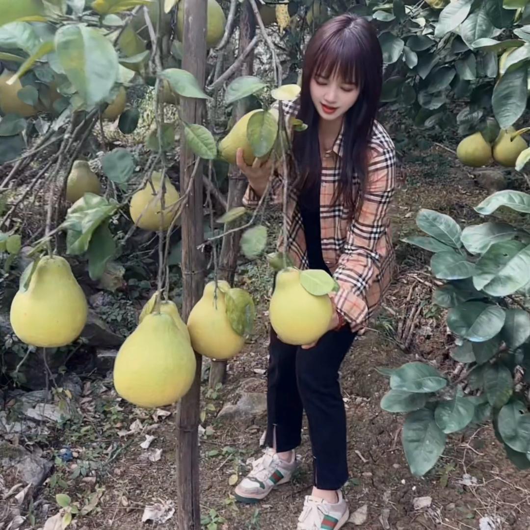 李李🎀