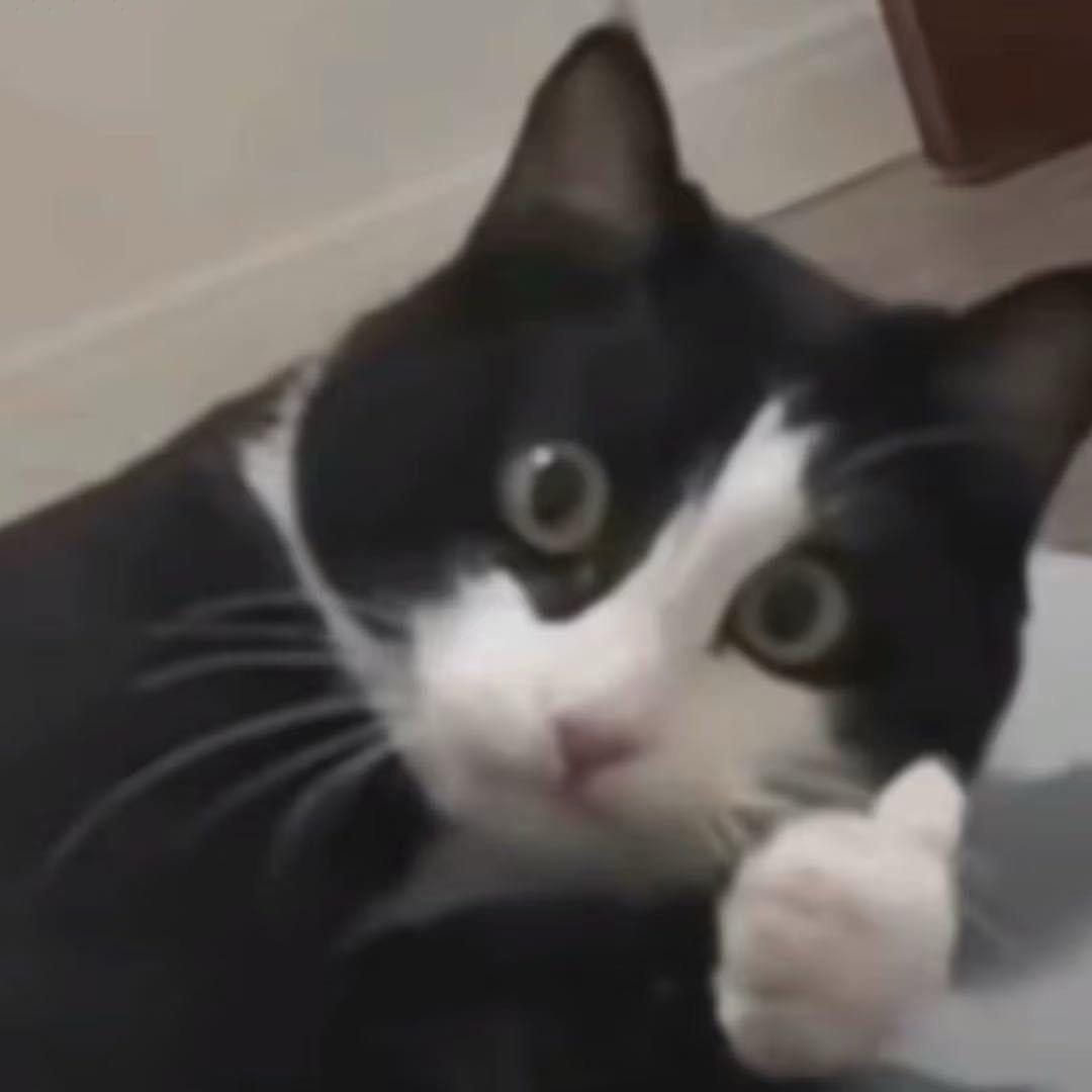 热心市民呆先生