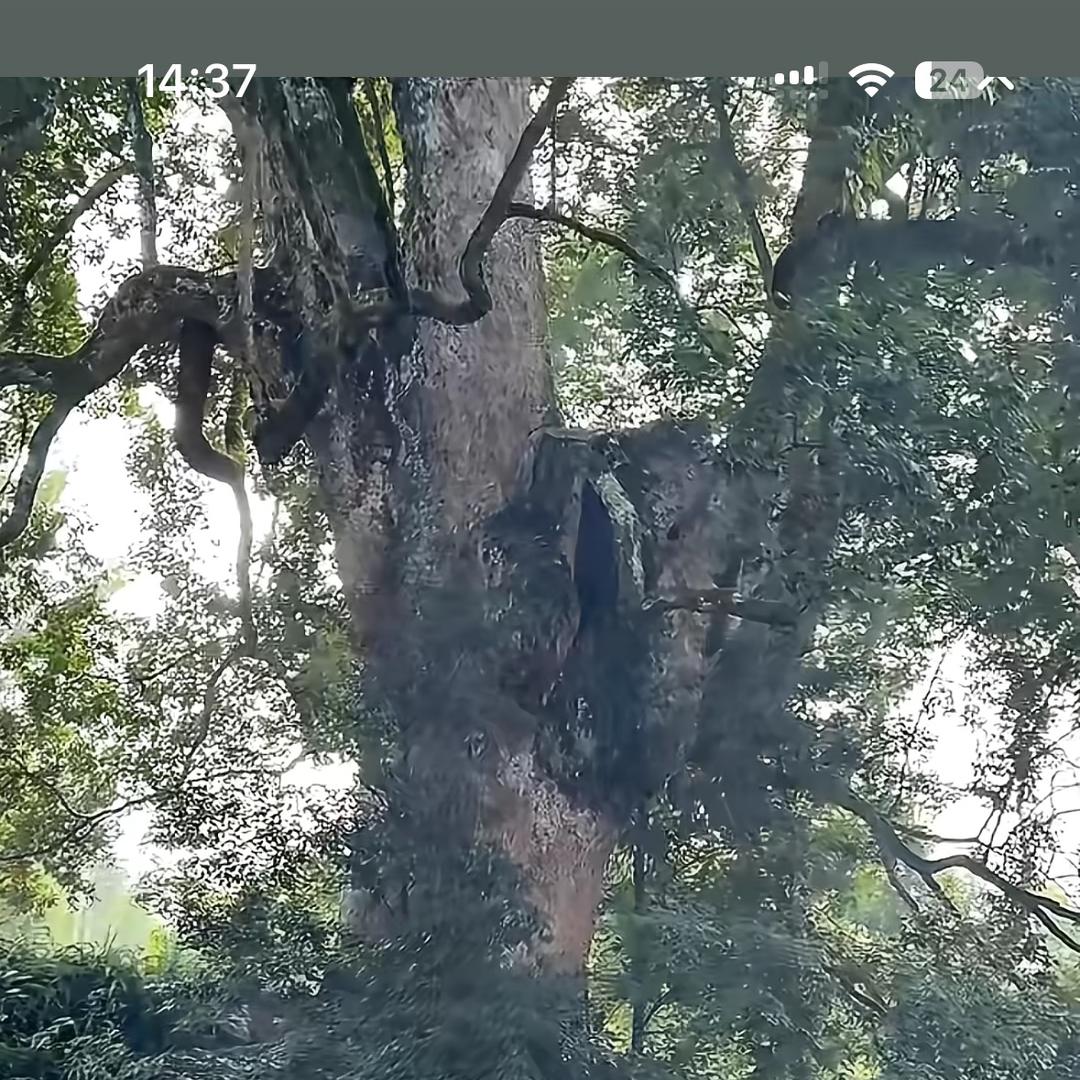 众鑫苗圃基地