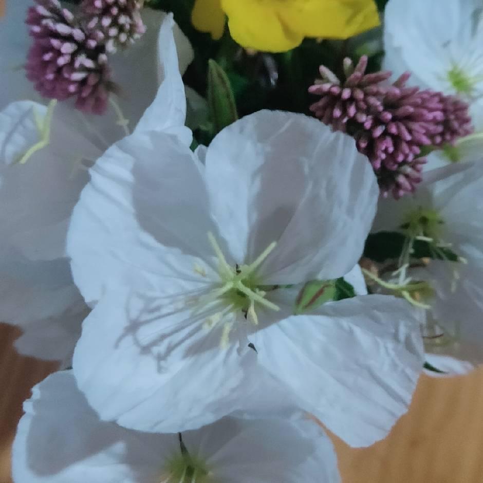 下一站幸福☘️☘️☘️