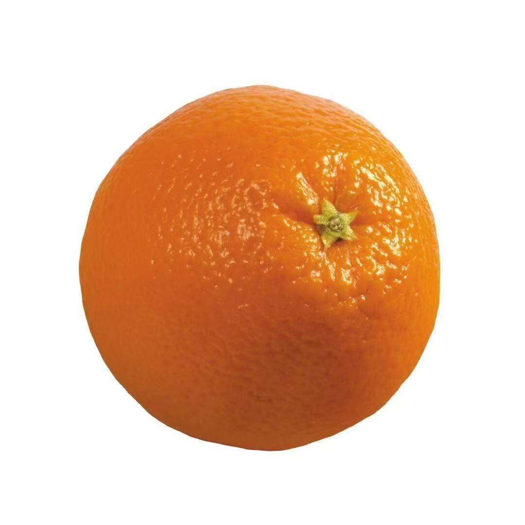 橙