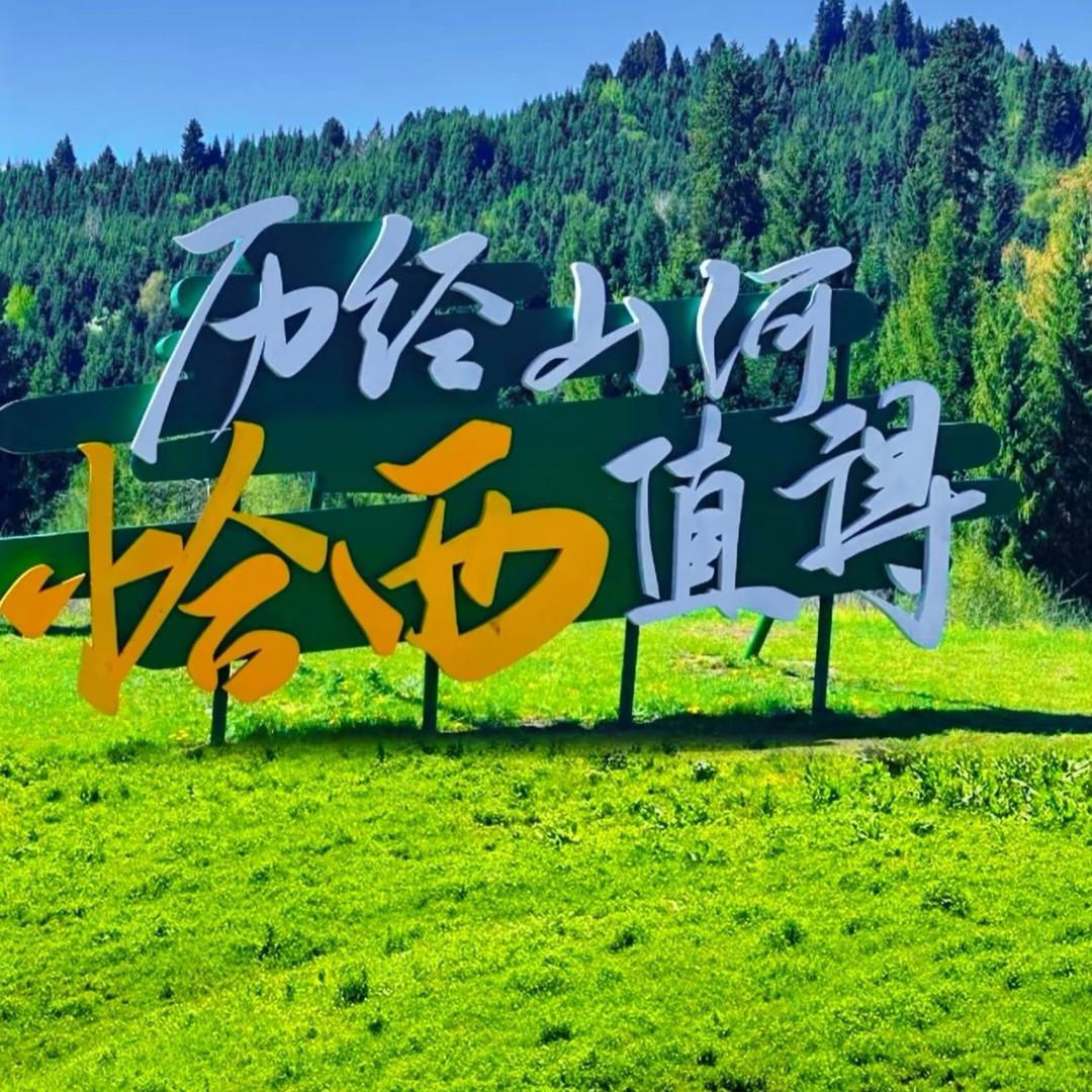 旅行领队凯哥（哈尔滨雪乡直播中）