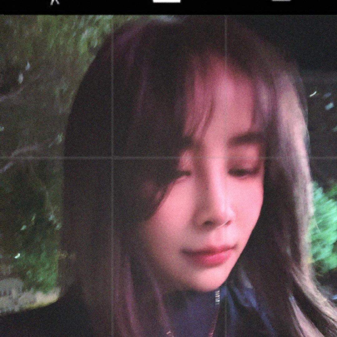 葱鸭🧅