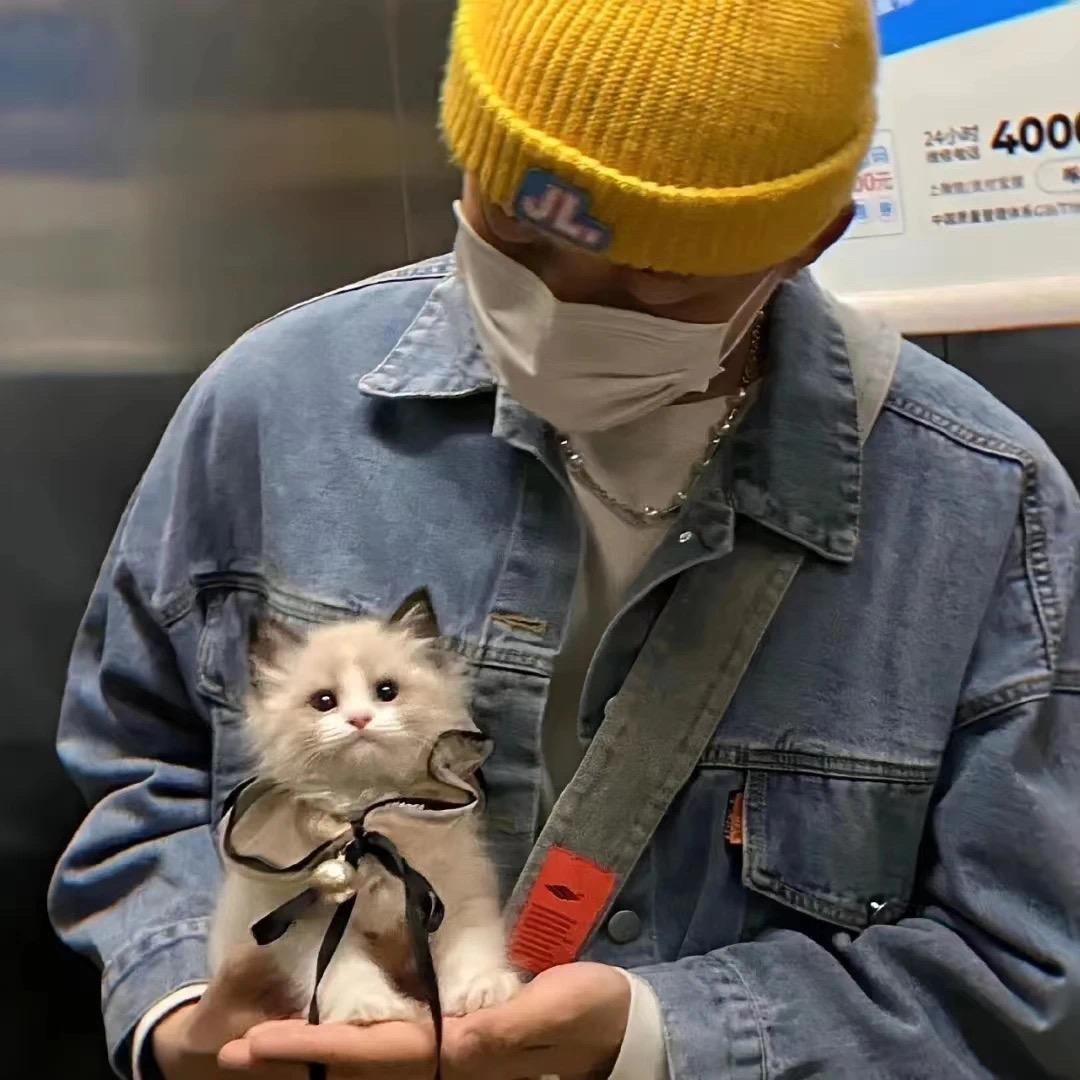 脆啵（无畏契约）