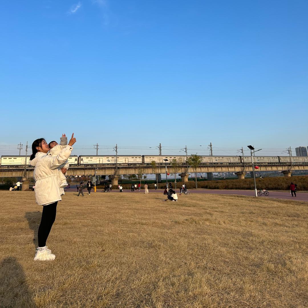 格桑花