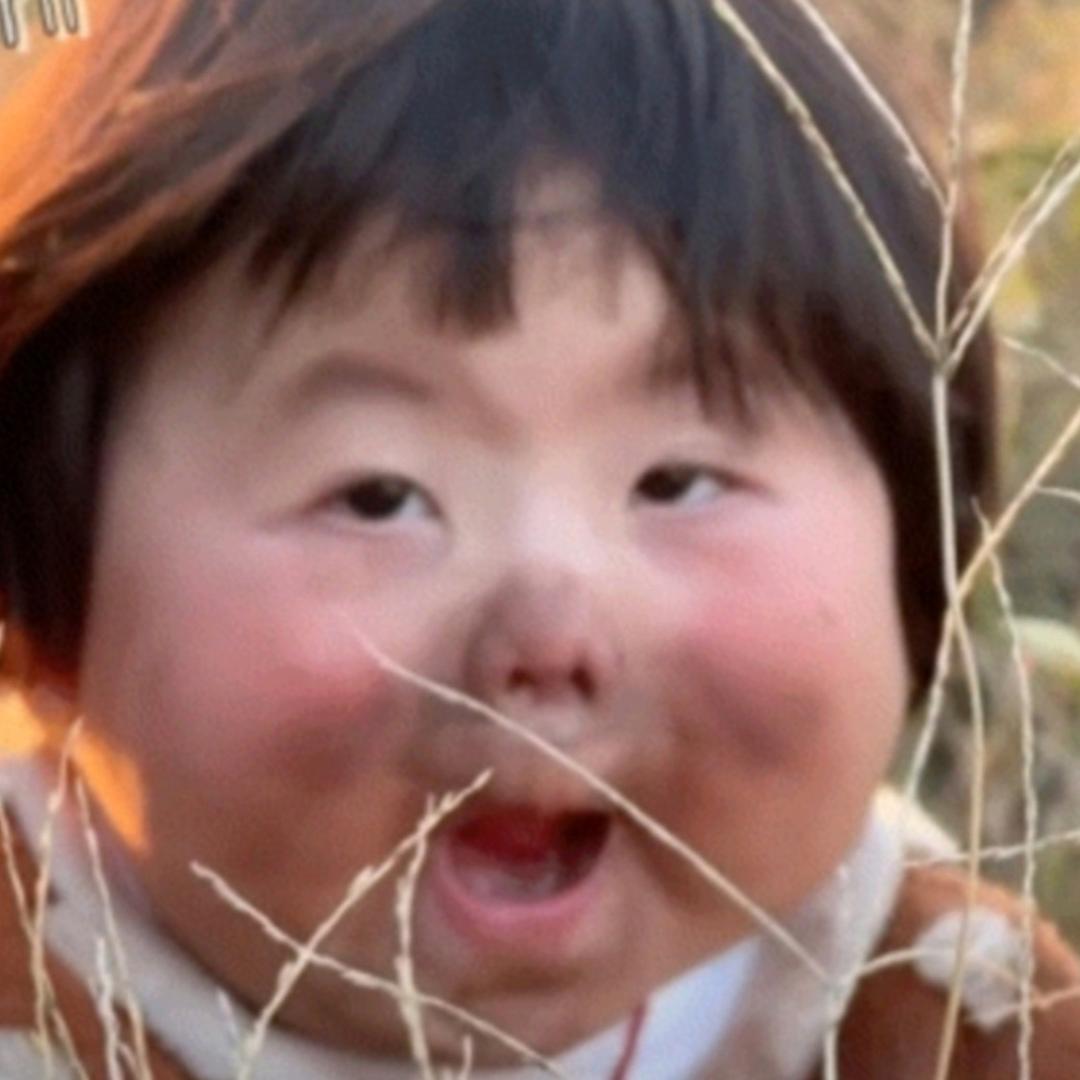 你算哪块小饼干_