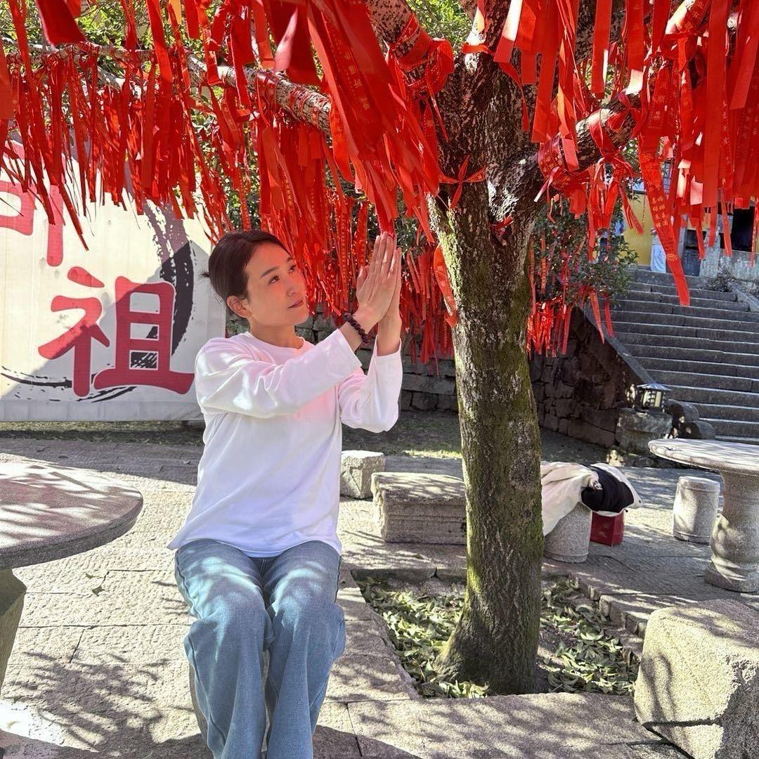 九华山陈菲
