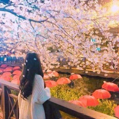 驿站🌸（民间故事）