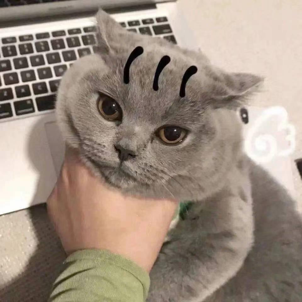 修竹墨客