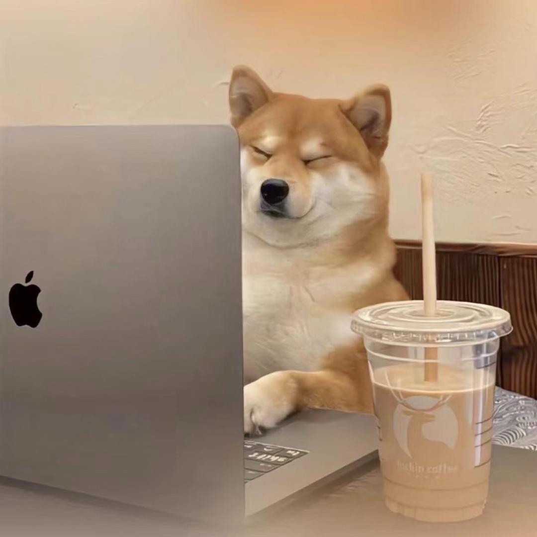 鳗牛里的牛马生活