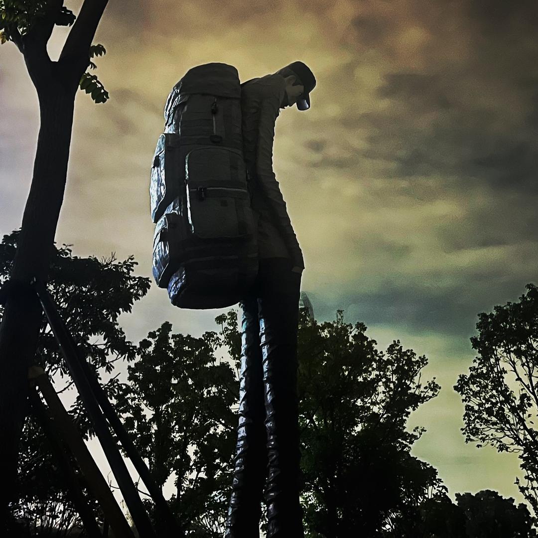 他做对了什么(菲老板鉴品)