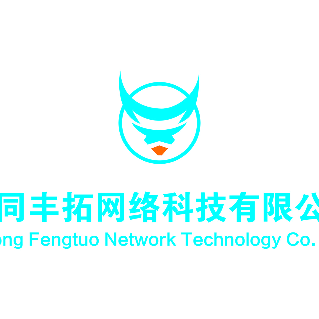 大同丰拓网络科技有限公司