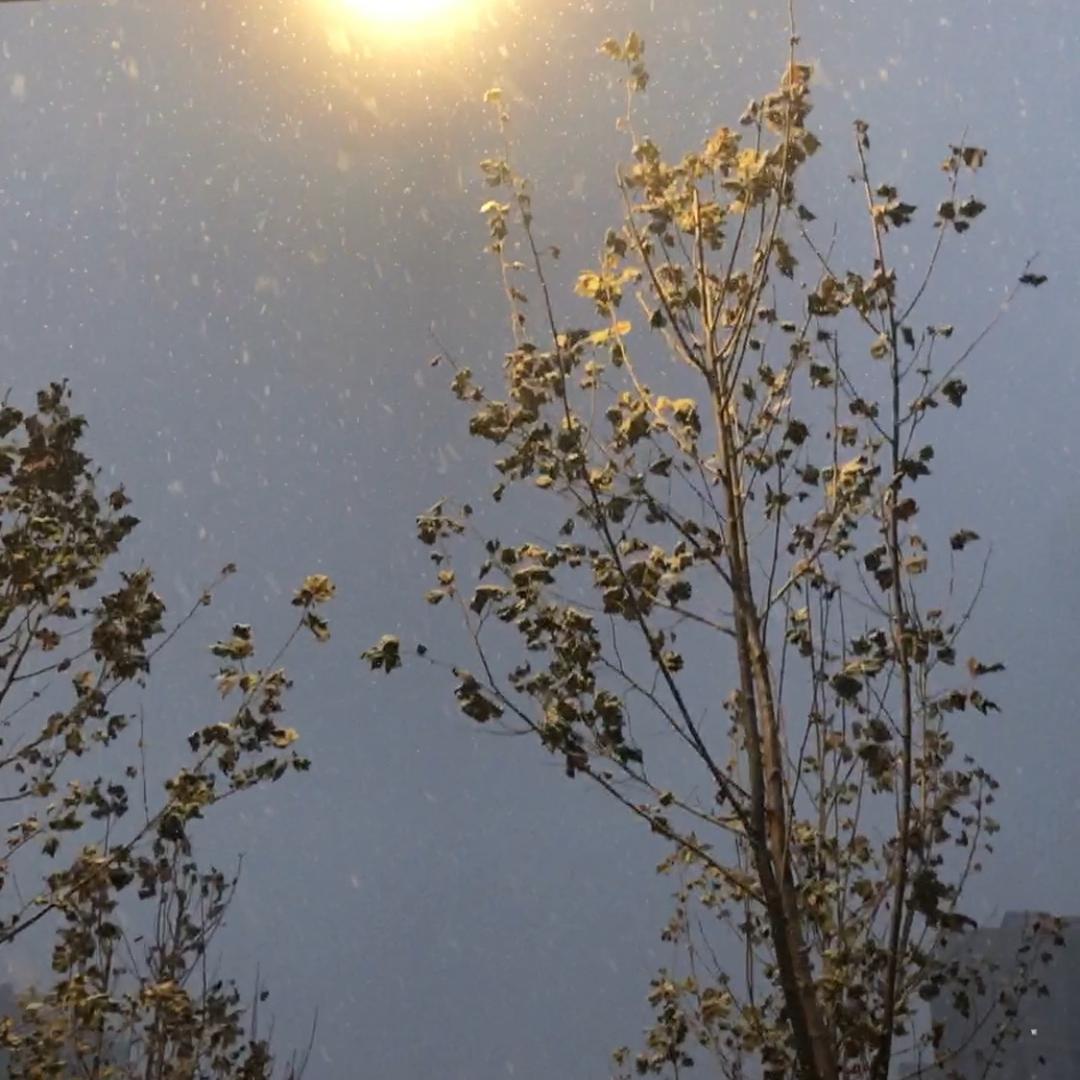 郑州市中原区恺恺美发店