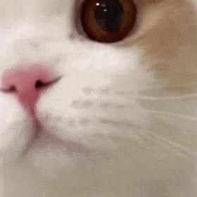 账号不在