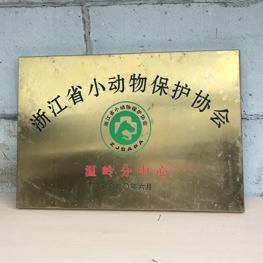 浙动保温岭分中心