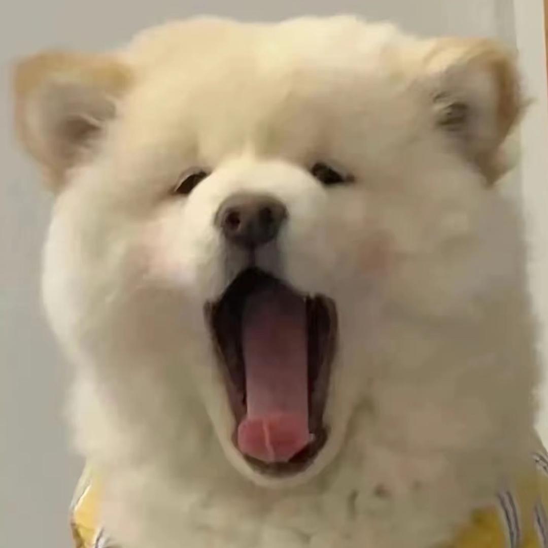 奥子