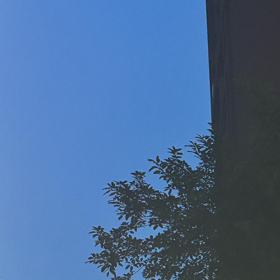 成都易利租车