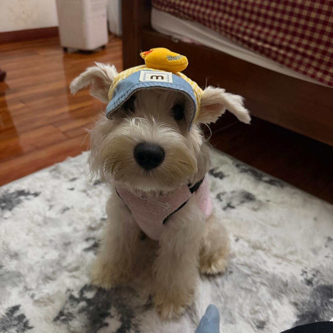 张瑞琪的朋友圈