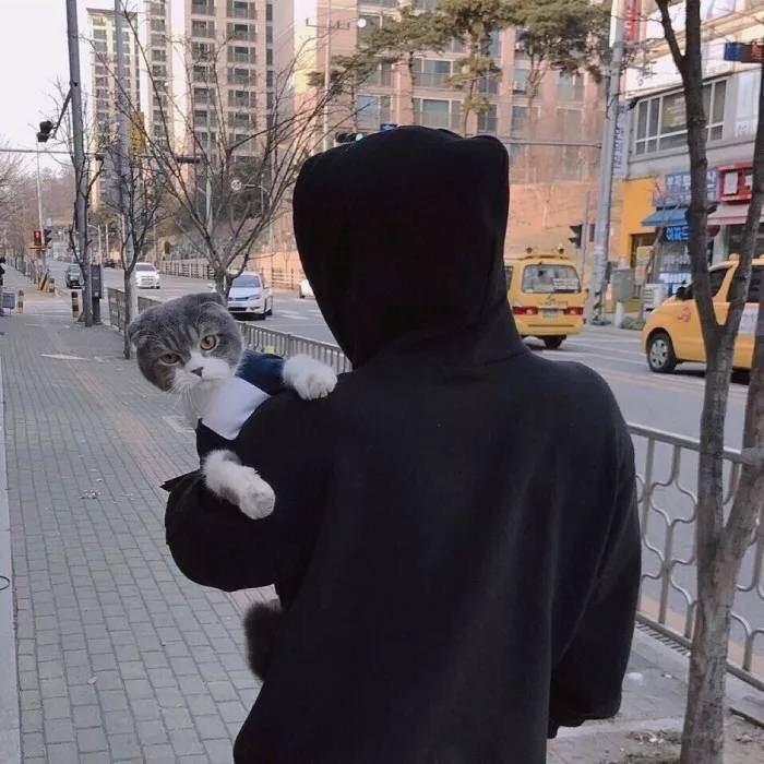 奶茶