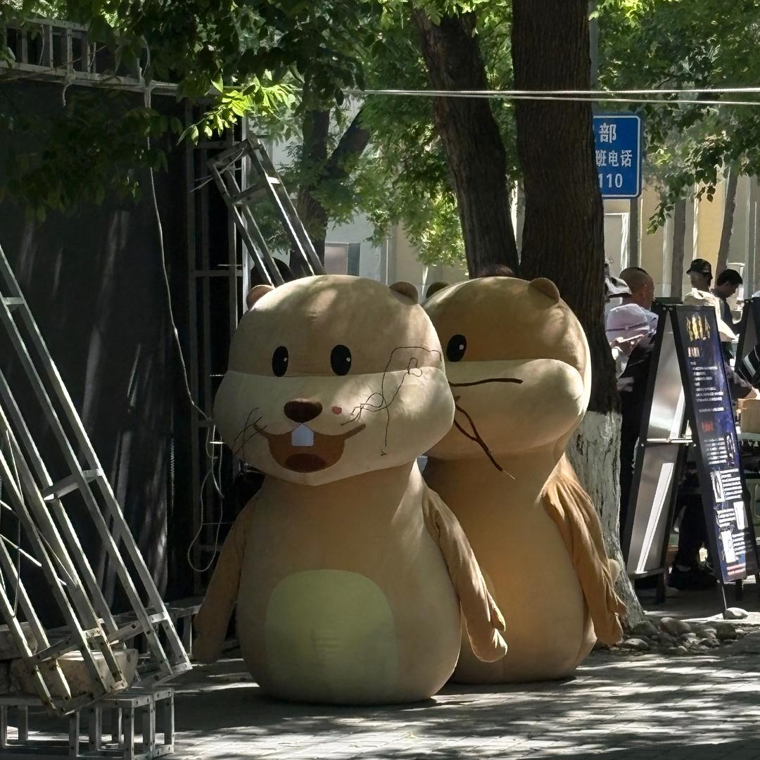 一只龙龙（求职版）