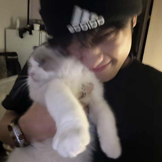 古德猫宁
