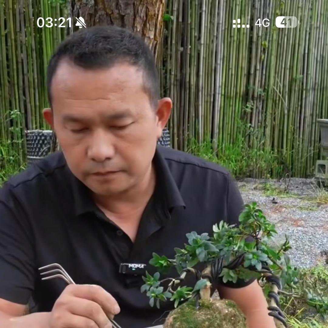 松和园