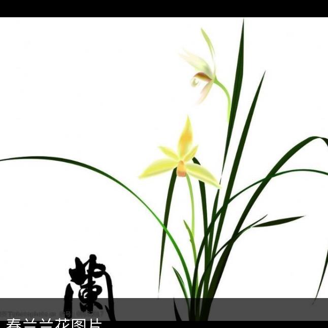 树欲静而风不止