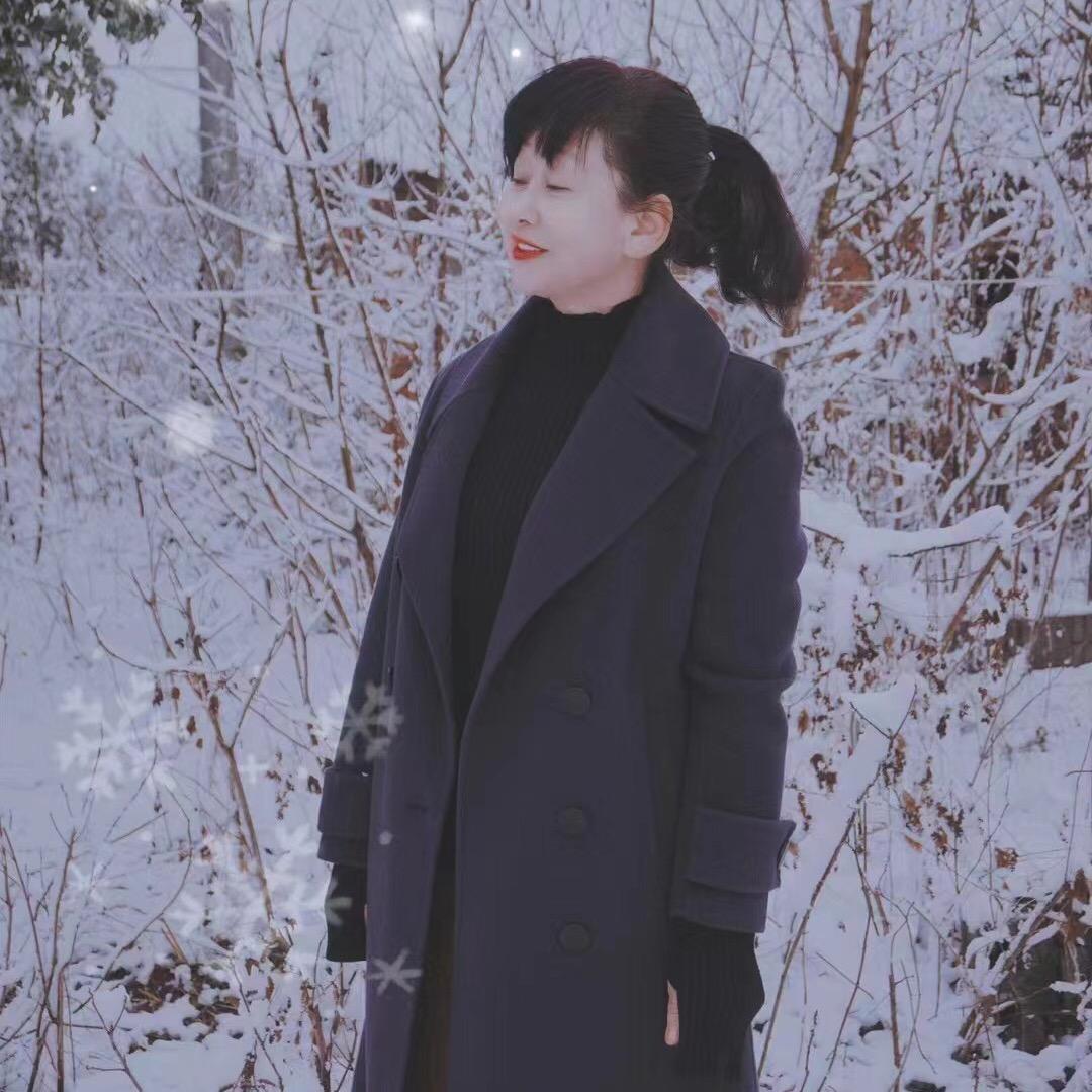 宝七的朋朋